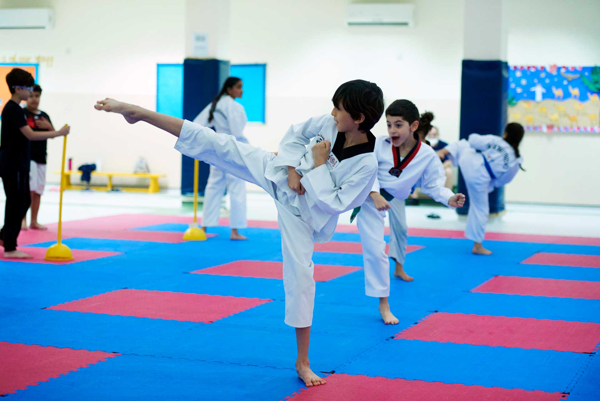 SFQ Taekwondo